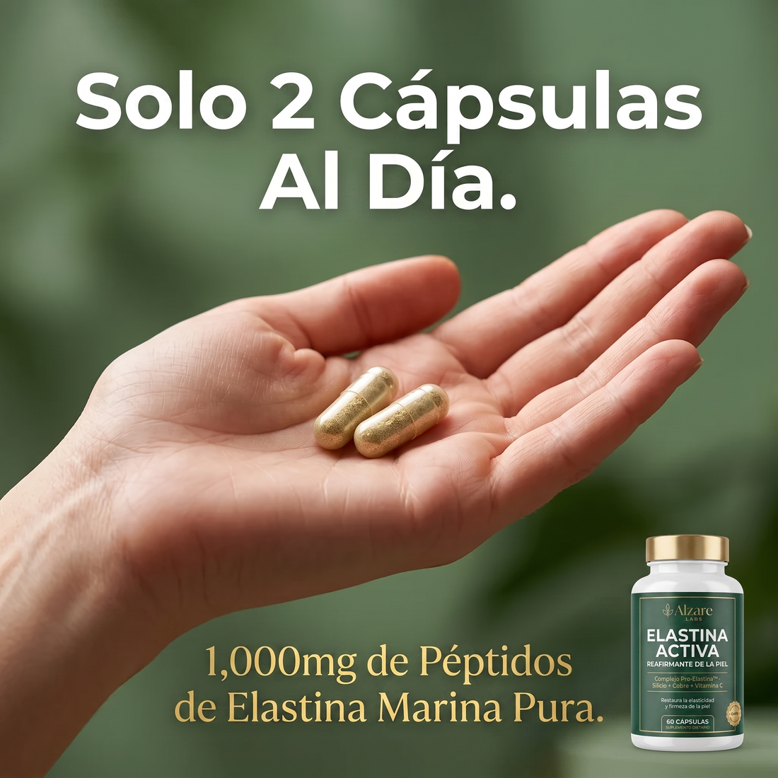 ALZARÉ® ELASTINA ACTIVA — Cápsulas Reafirmantes | Piel Más Firme en 60 Días (60 cápsulas)